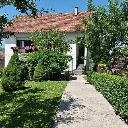 Guesthouse Pavlicic Dreznik Grad Luaran gambar