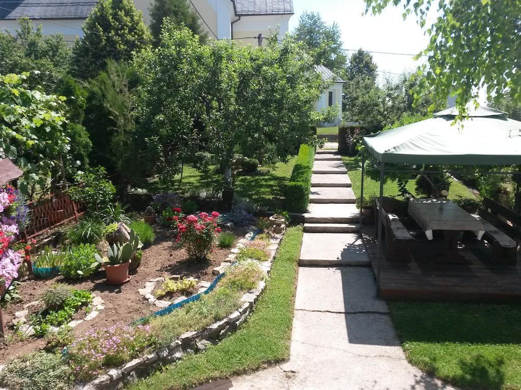 Guesthouse Pavlicic Dreznik Grad Luaran gambar